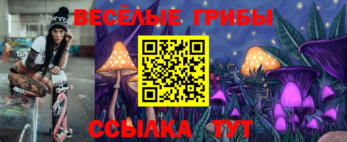 Морозовск  Псилоцибиновые грибы GOLDEN TEACHER  Вход с VPN  Псилоцибиновые грибы MAGIC MUSHROOMS 