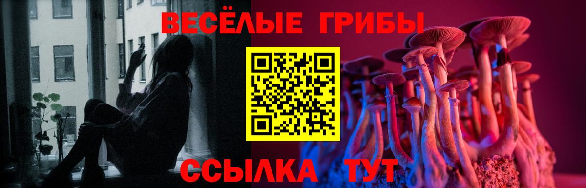 Галлюциногенные грибы Cubensis Морозовск